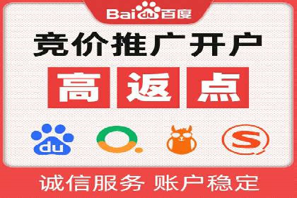 竞价托管实战案例：优化广告投放策略